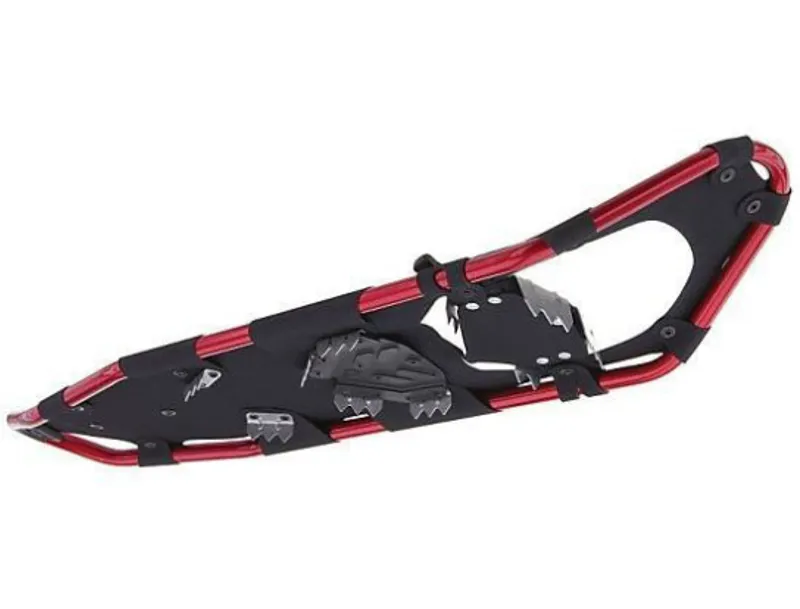 Kahtoola Mountain 28 Snowshoe-2